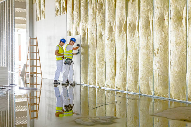 Best Insulation Maintenance and Repair in Shorewood, MN